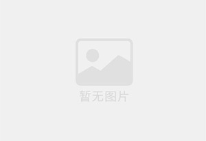 桥东防水补漏公司的电话号码是多少？